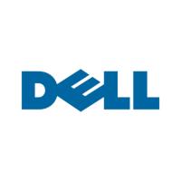 DELL DATADOMAIN DDFS25 DS40 SERİLERİ KURULUM HİZMETİ