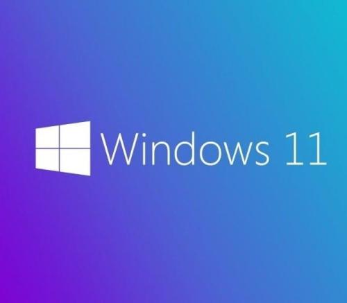 MS WINDOWS 11 PRO 64 BIT INGILIZCE OEM FQC-10528